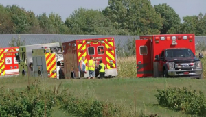 A Dozen Children Injured, Field Trip Turns Into Nightmare