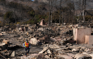 Popular Hiking Trail May Hold Answers To Devastating Fire