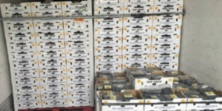 Authorities Allege Man Stole 33,000 Pounds of Frozen Snow Crab and Almost Half A Million In Designer Cologne