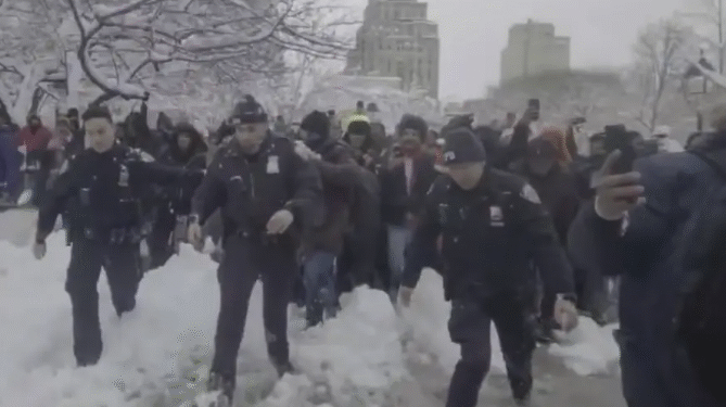 NYPD Responds To Park After Massive Snowball Fight Takes Place